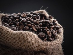 Café en grain : comment choisir ?